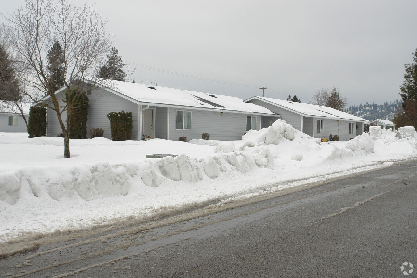 Photo - Pinewood Village