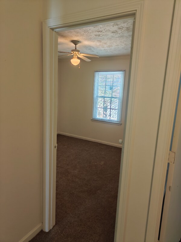 Photo - 1125 Memory Ln