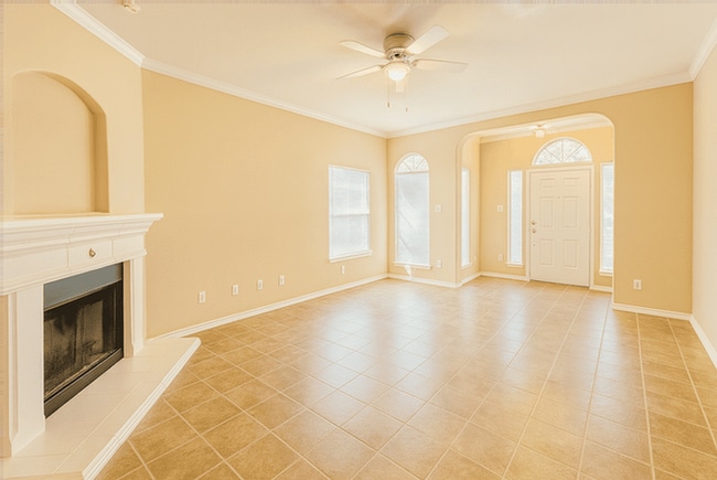 Photo - 11034 Arabian Palm