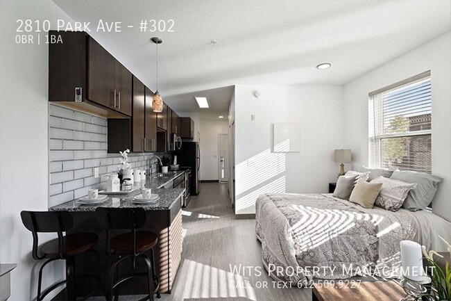 Updated Studio Apartments in Minneapolis - Updated Studio Apartments in Minneapolis Unit #302