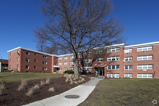 Photo - Brendan Towers