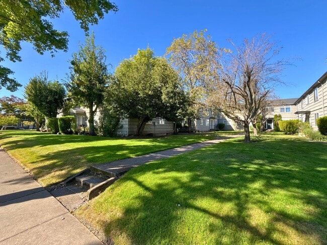 Building Photo - (UNM)  Updated Campus Apartment Unit 335 -03