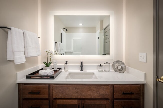 Bathroom Vanity