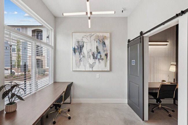 Photo - Elevate the Park