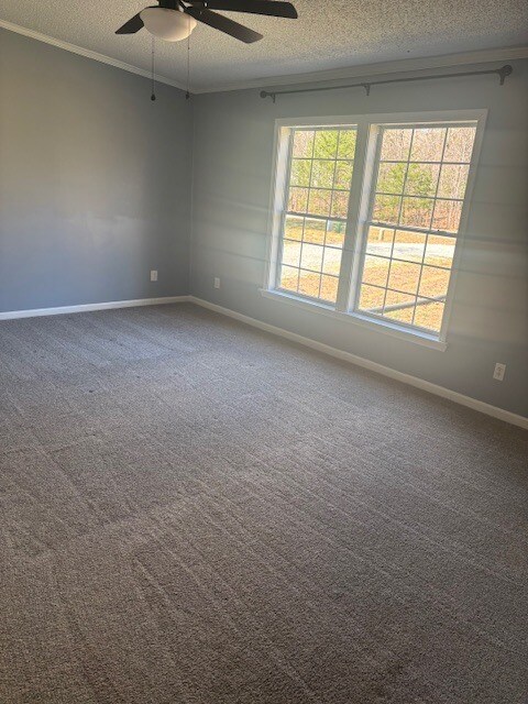 Photo - 397 Lester Dr