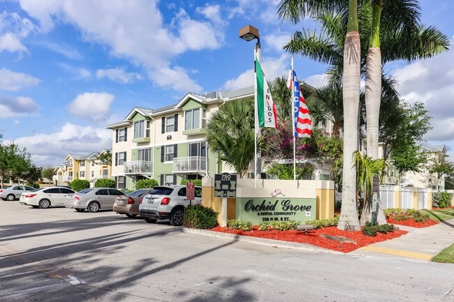 Photo - Orchid Grove