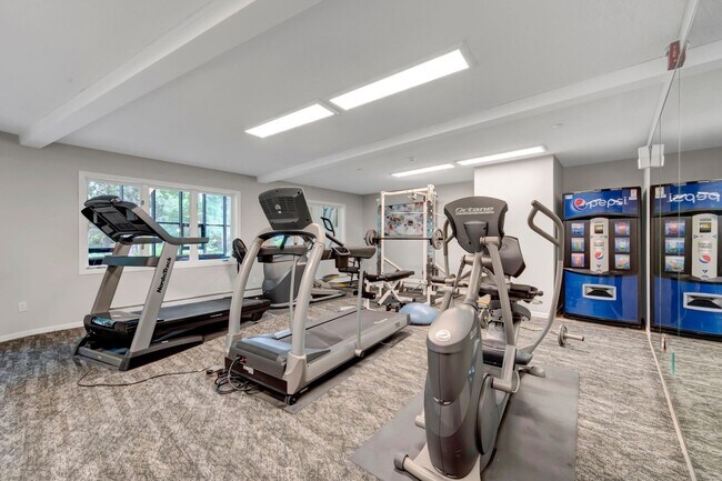 Photo - Hemlock Pines