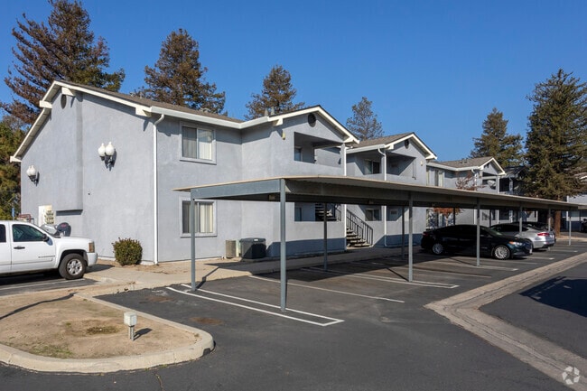 Olive Tree Apartments - Olive Tree Apartments