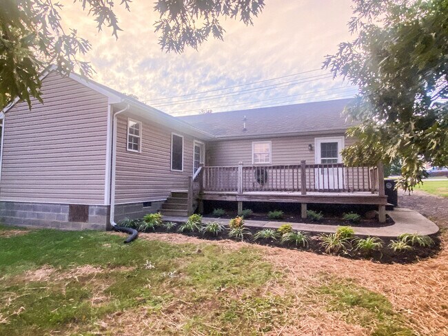 Back of Home - 237 Alta Ln