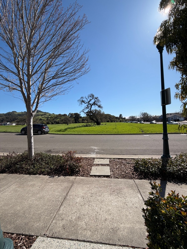 Photo - 2390 Brookwood Ave