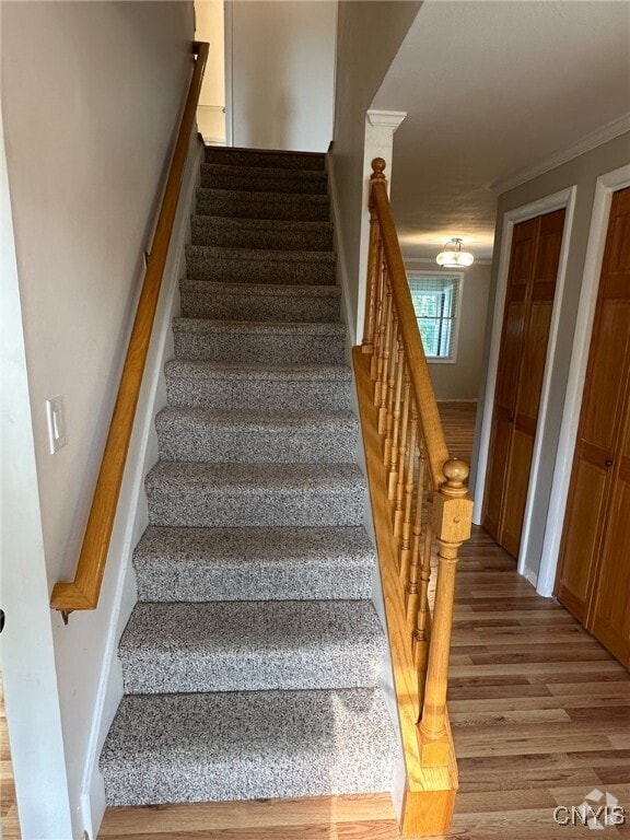 Building Photo - 6846 Crystalwood Dr Rental