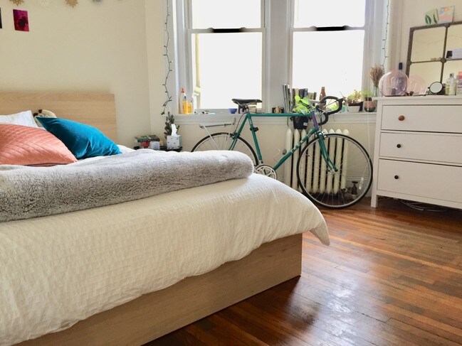 Photo - 49 Egmont St