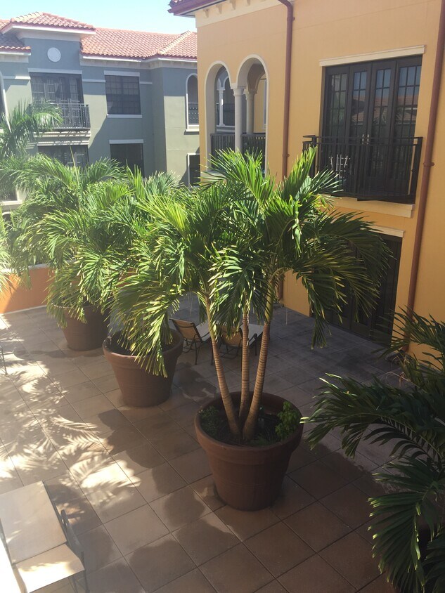Courtyard - 23151 Fashion Dr (Estero, FL)
