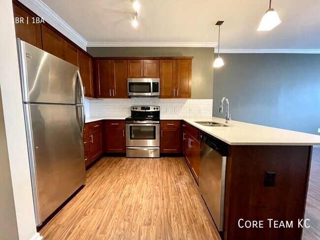 Large 1 bedroom in River Market - Large 1 bedroom in River Market Apartment Unit 207