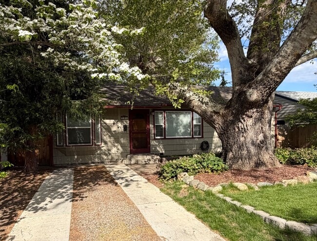 Photo - 916 Kenyon St