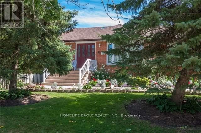 Photo - 19 Schomberg Rd