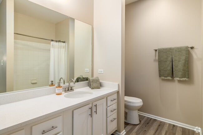 1BR, 1BA - 807SF - Bathroom