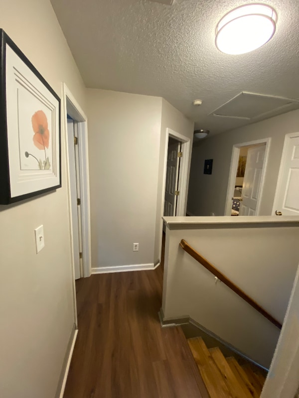 Photo - 7434 Frances Irene Dr