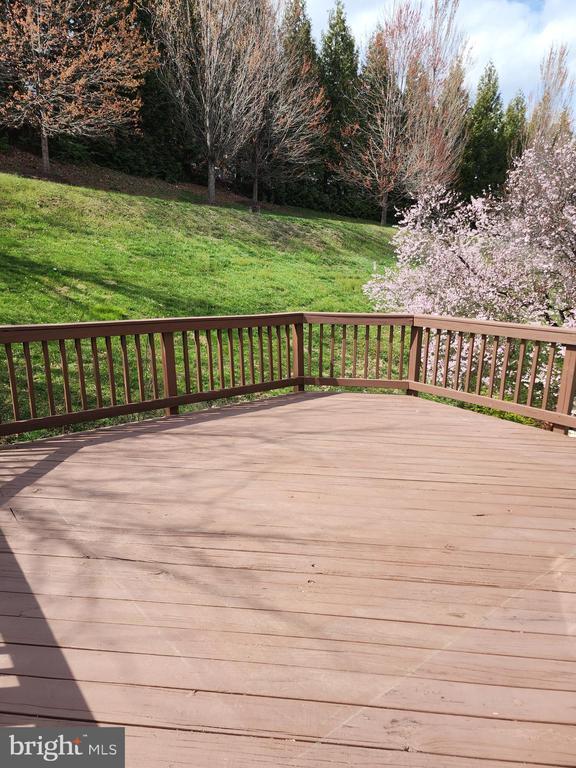 Photo - 507 Sylvan Ct