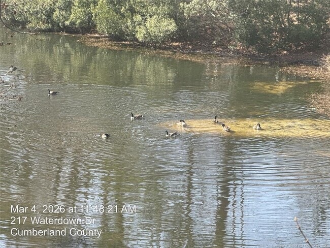 Photo - 217 Waterdown Dr