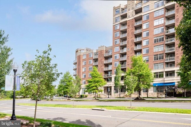 Photo - 3600 S Glebe Rd Unit 516W