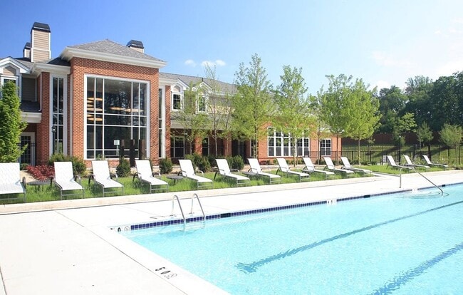Lounging at the Pool