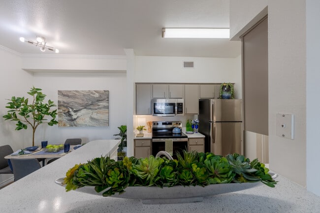 Newly Remodeled A1 – Open-Concept Living & Kitchen - Dakota Arms