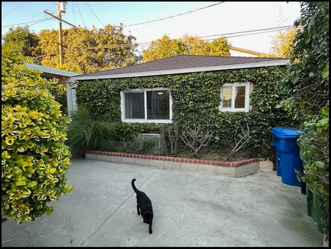 Photo - 4350 Corinth Ave