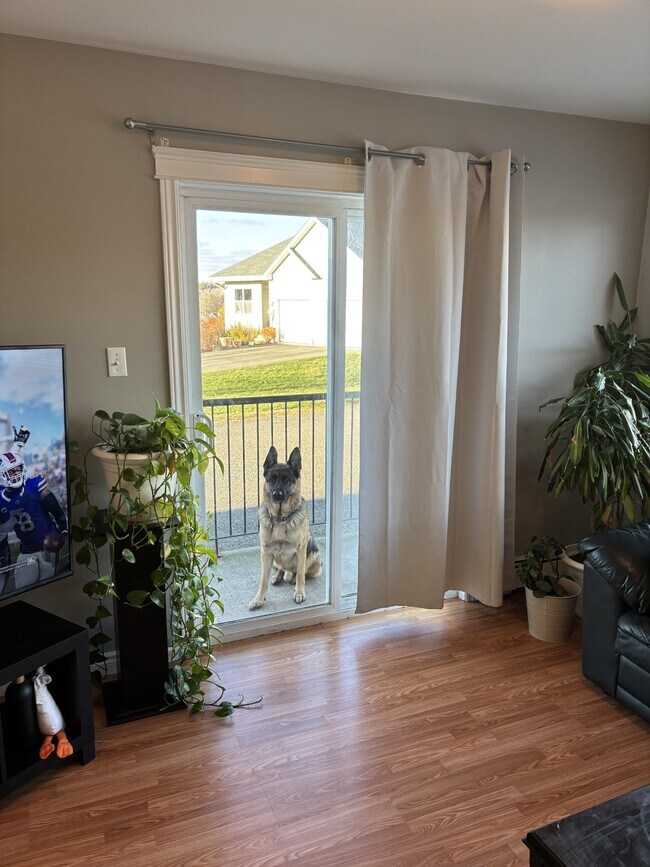 Photo - 15 Magazine St Unit 104