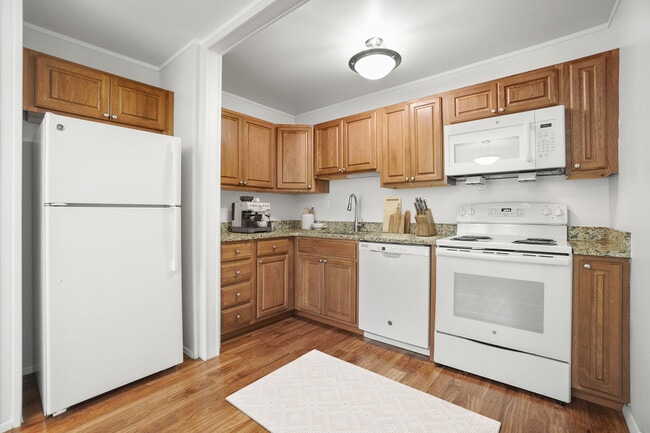 Photo - Taunton Gardens