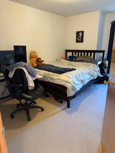 Photo - 2722 Coralberry Ct