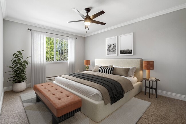 Photo - Regency Plaza Apartment Homes