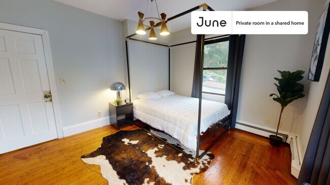 Photo - Room in Shared 4 bed/2 bath home Unit 1A