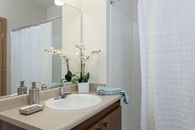 Todos los baños cuentan con una combinación de bañera y ducha. - Reserve at Everett for 55+ Active Seniors Apartamentos