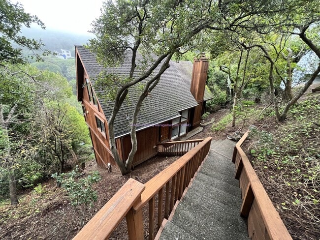 Building Photo - Beautiful 3 Bedroom, 2.5 Bathroom - Treehouse Sanctuary Home in Sausalito.