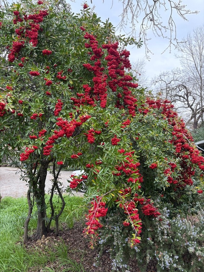 Building Photo - 3647 Walnut St