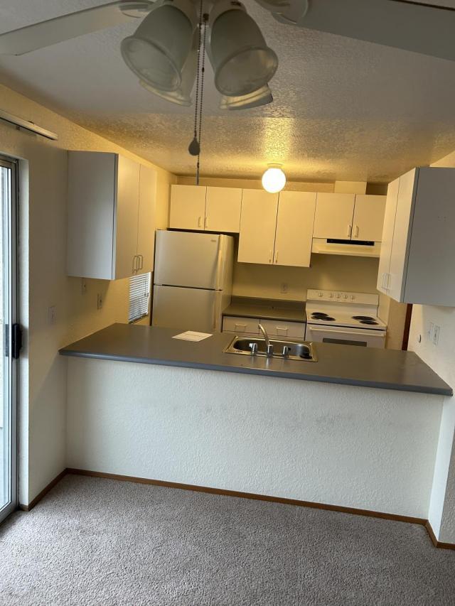 Photo - 1 bedroom in Seattle WA 98125 Unit 1 Bedroom Apt.