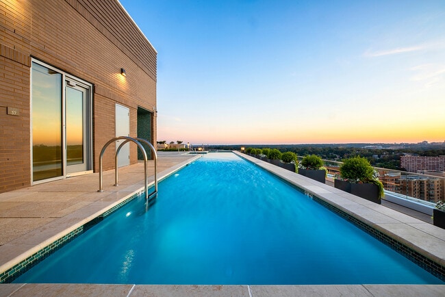 Rooftop Pool