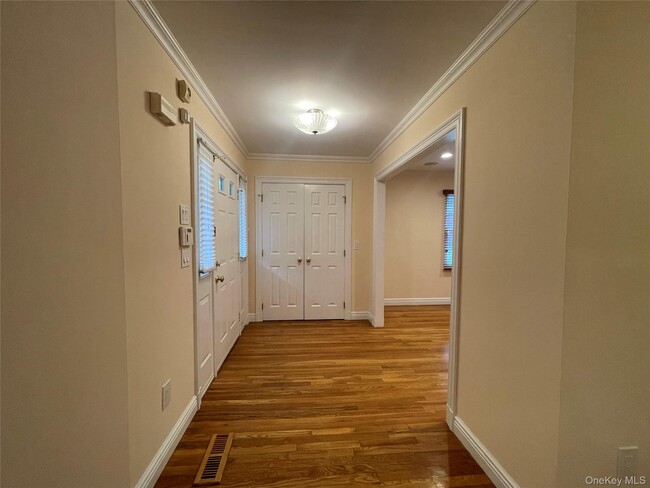 241 Central Ave