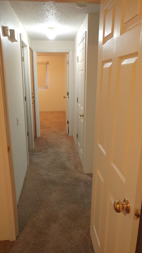 Photo - 3517 W 1st Ave Unit 3517 W 1st - D