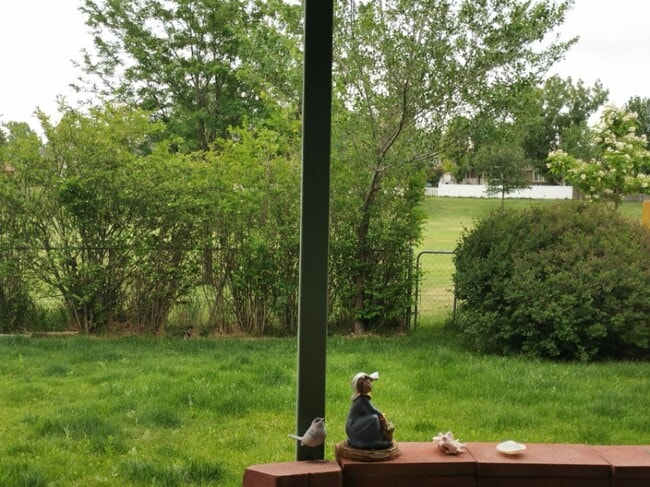 Photo - 302 N 50th Ave