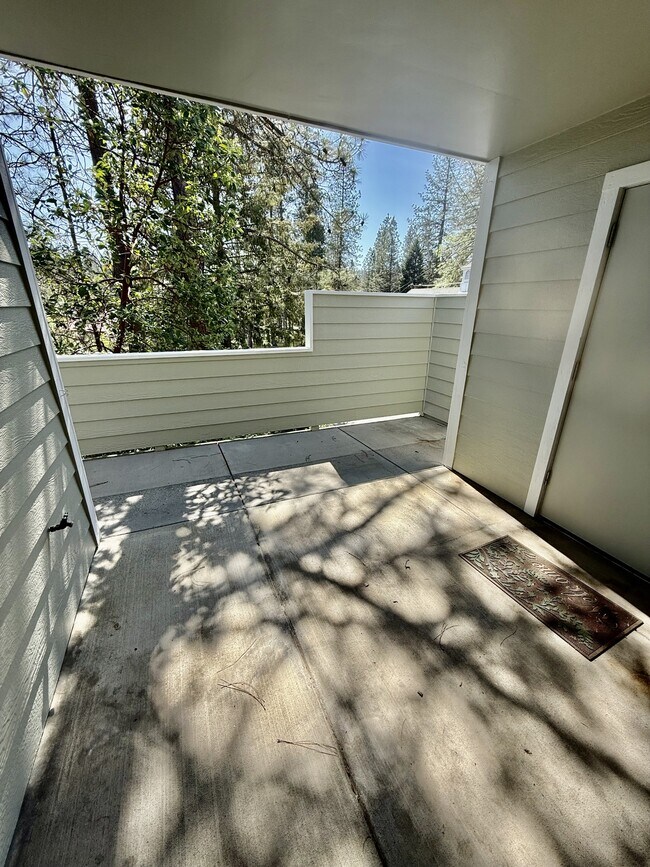 Photo - 133 Argall Way