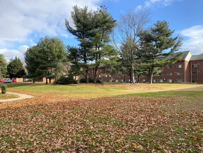 Courtyard 2