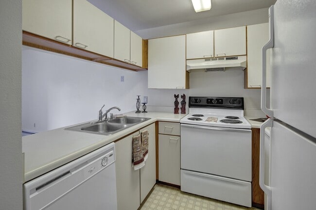 Silver Ridge Apartments - Kitchen - Silver Ridge Apartments