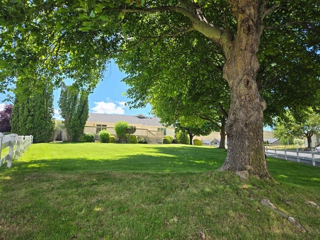 Photo - Charming Home on .34 acres!