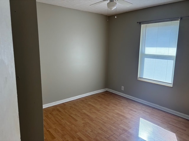 201 Honeysuckle Ln