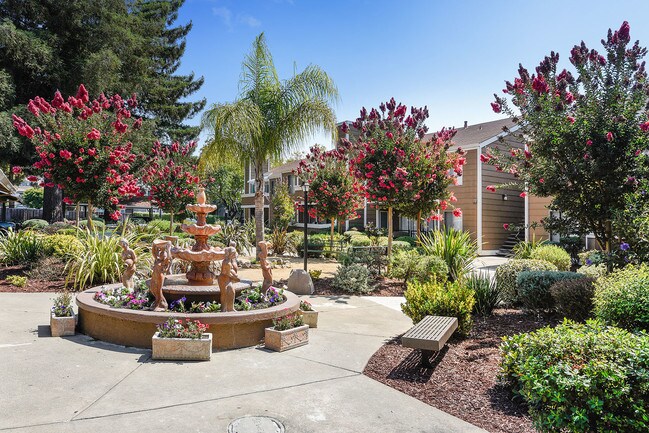 Photo - Town & Country Apartments