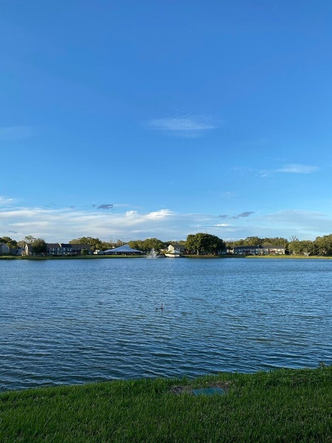 Photo - Ground Floor - Lake Front - Corner Unit - 1 Bedroom 1 Bath  for Lease