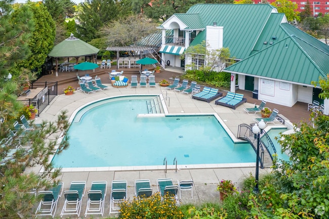 Piscina - Village Club on Franklin