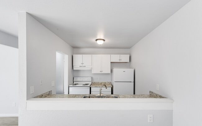 Kitchen - Aspen Flatz